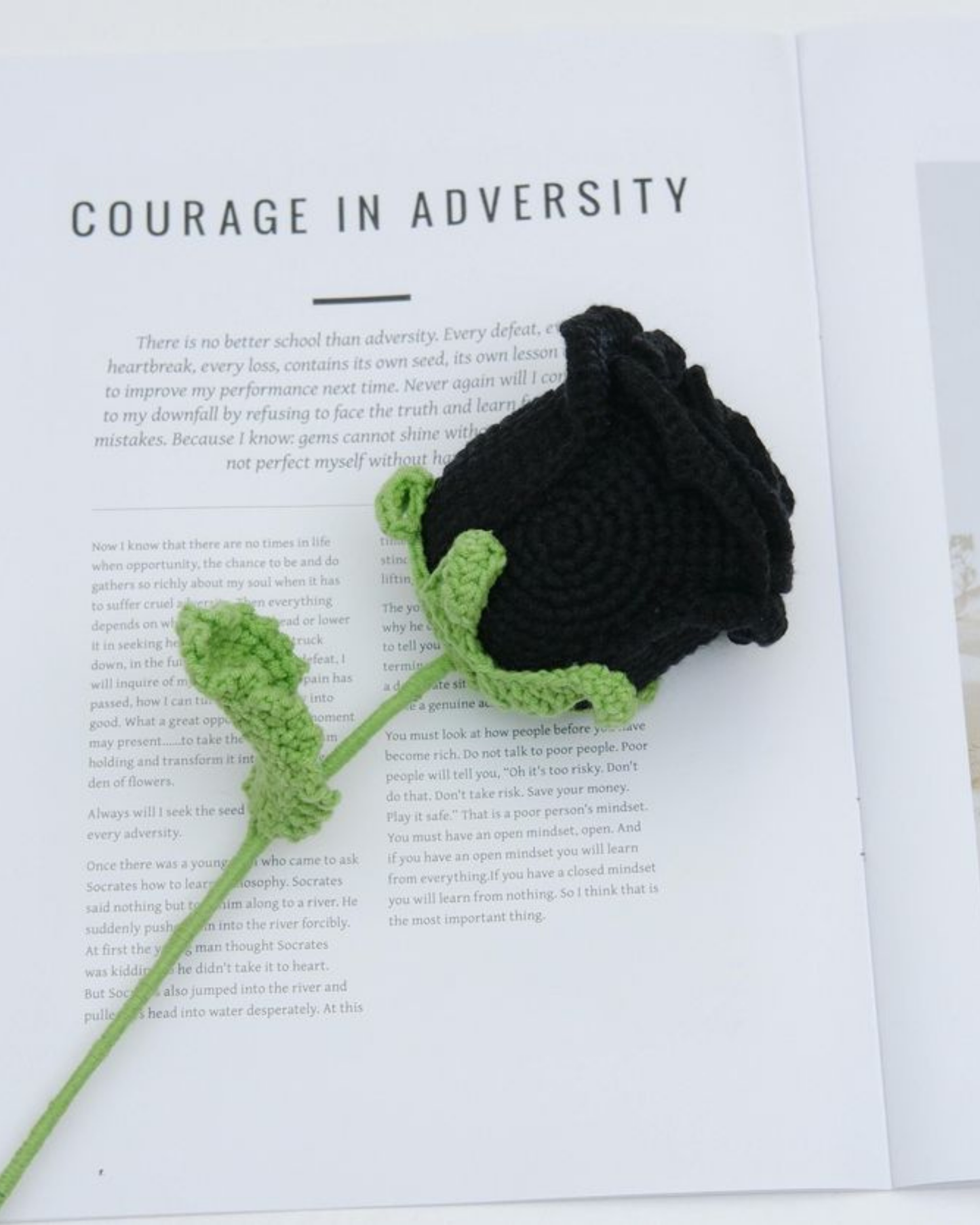 Crochet Rose
