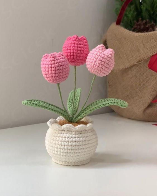 Flower Pots